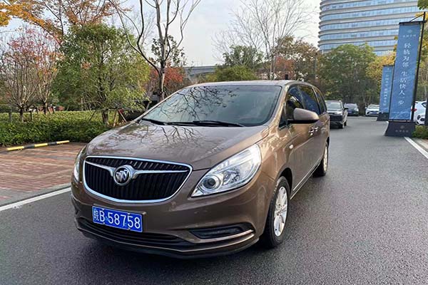 商務(wù)車(chē) (2)